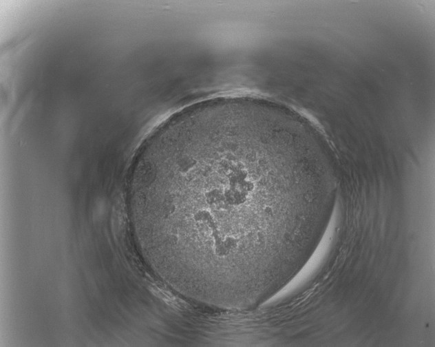 X0000060811263200511171259