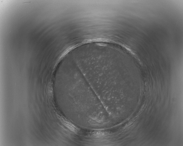 X0000060811266200511171259