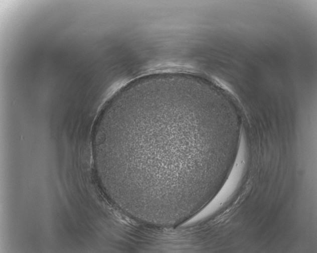 X0000060811267200511171259