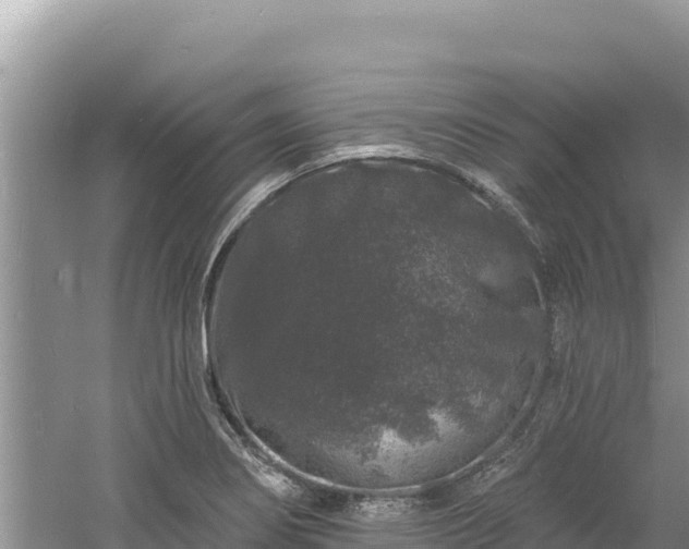 X0000060811274200511171259