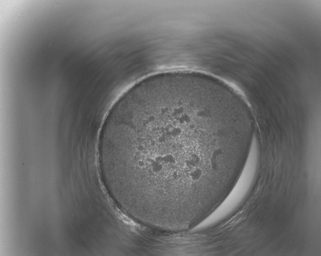 X0000060811279200511171258