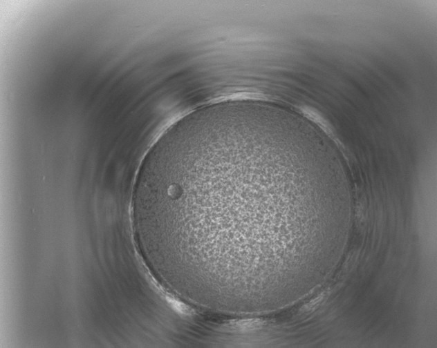 X0000060811282200511171258