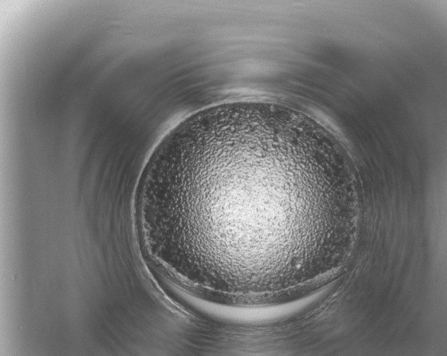 X0000060811283200511171258