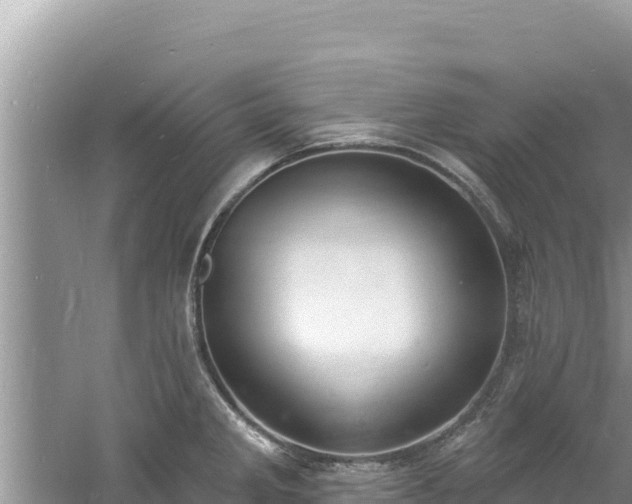 X0000060811285200511171258