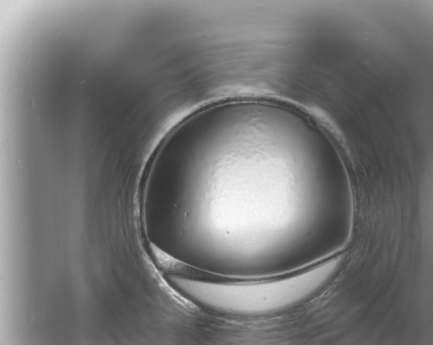 X0000060811287200511171258