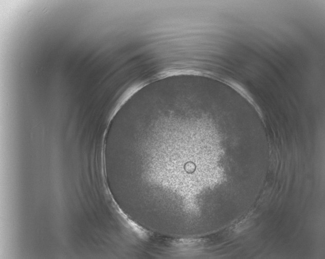 X0000060811290200511171258