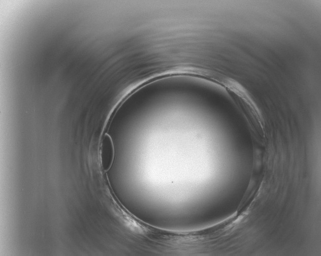 X0000060811292200511171258