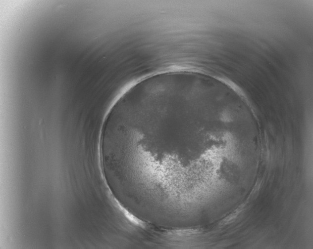 X0000060811294200511171258