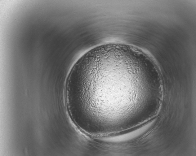 X0000060811295200511171258