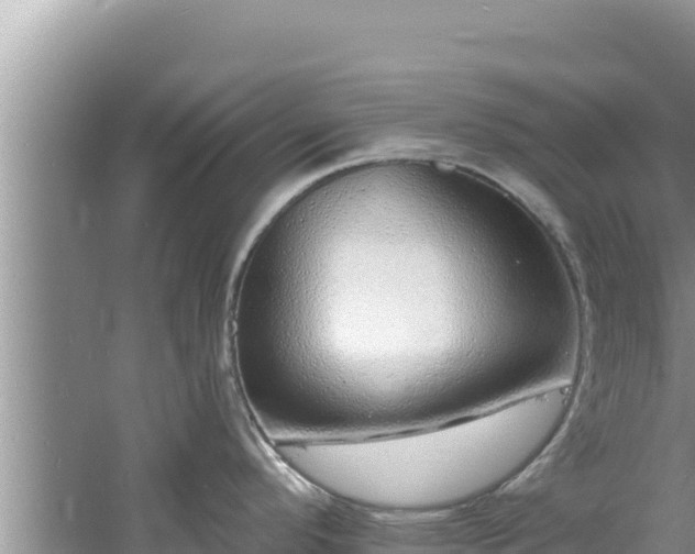 X0000060811296200511171258