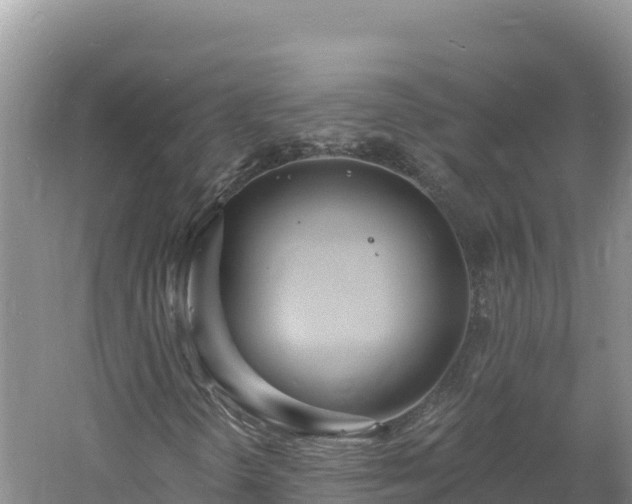 X0000060811298200511171257