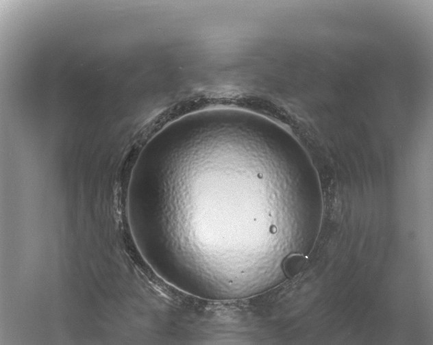 X0000060811301200511171257