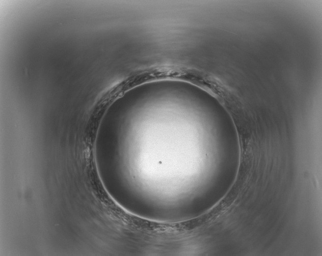 X0000060811302200511171257