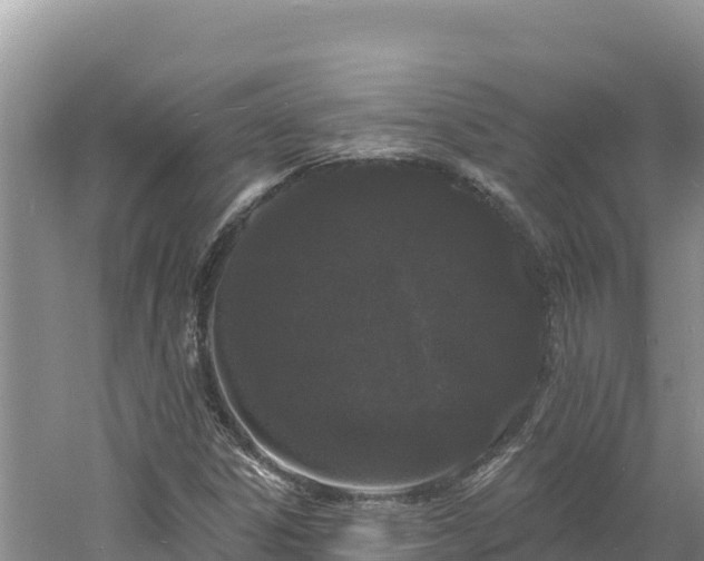 X0000060811306200511171257