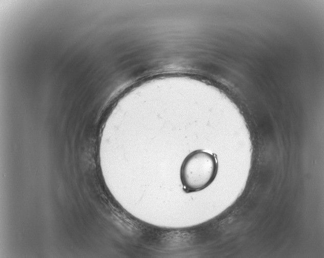 X0000060811314200511171258