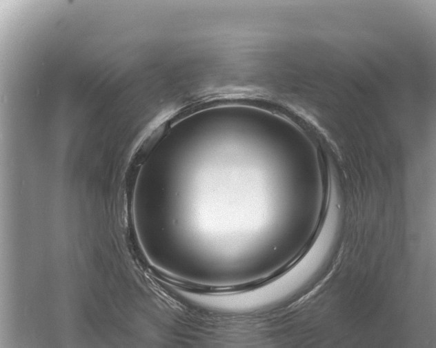 X0000060811317200511171258