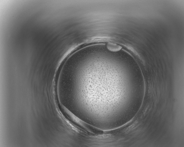 X0000060811325200511171258