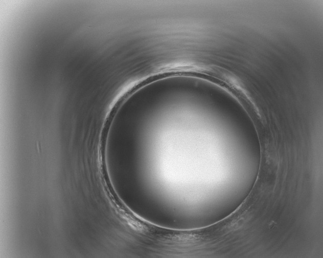 X0000060811328200511171258