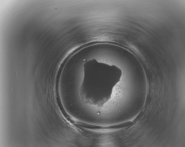 X0000060811331200511171258