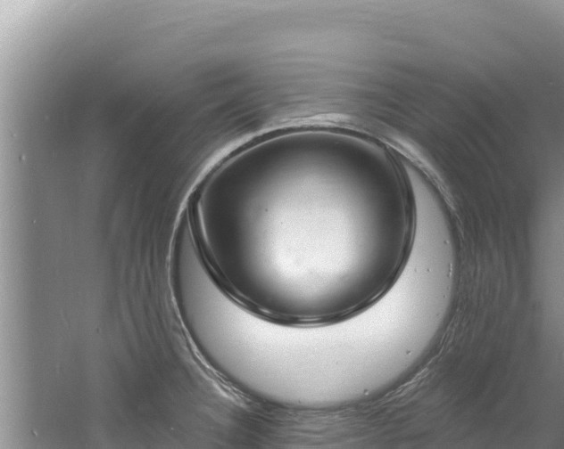 X0000060811332200511171258