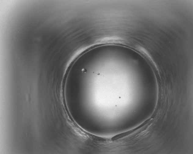 X0000060811336200511171258