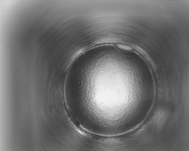 X0000060811337200511171258