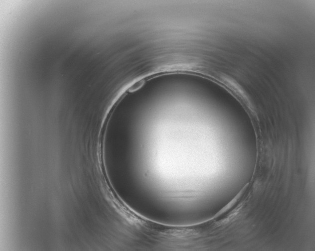 X0000060811340200511171258