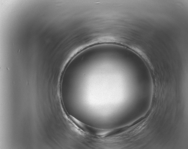 X0000060811342200511171258