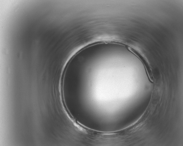 X0000060811343200511171258