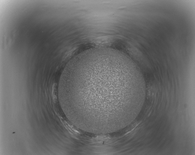 X0000060811346200511171257