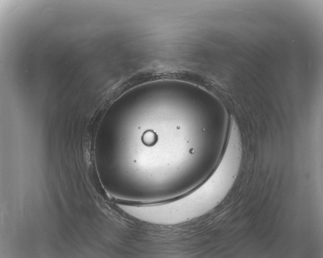 X0000060811348200511171257