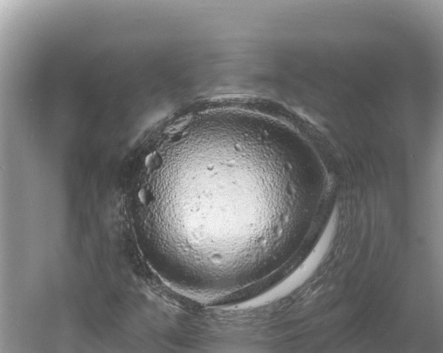 X0000060811351200511171257