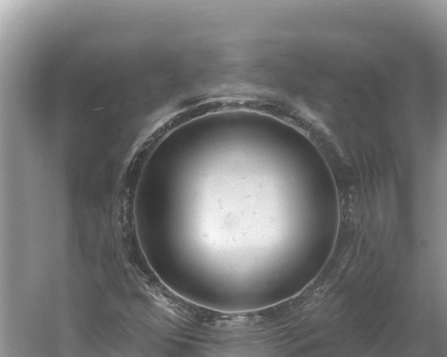 X0000060811352200511171257