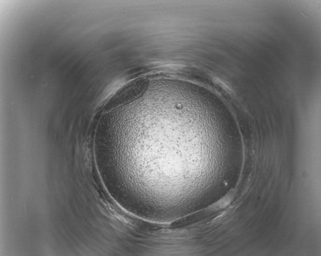 X0000060811354200511171257