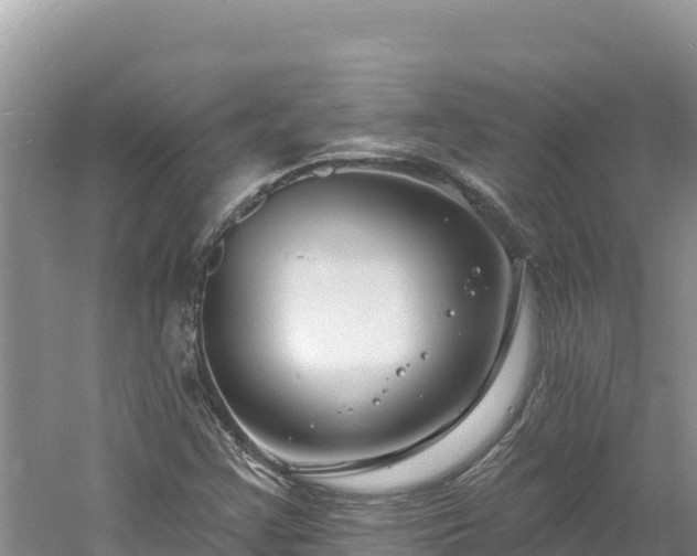 X0000060811355200511171257