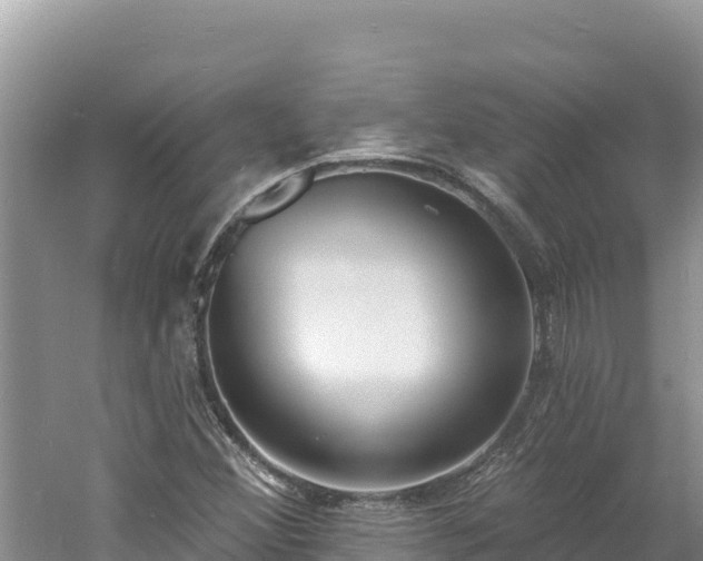 X0000060811356200511171257