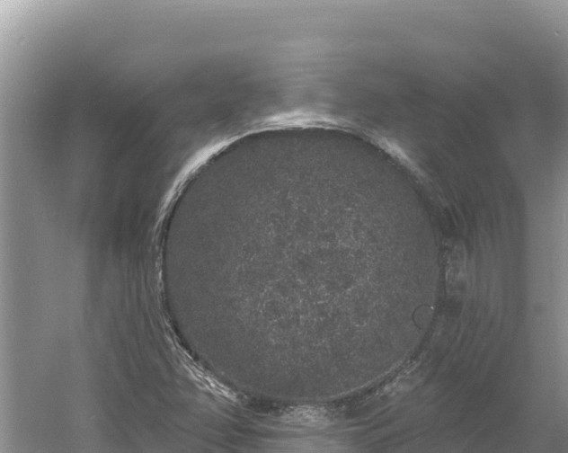 X0000060811358200511171257