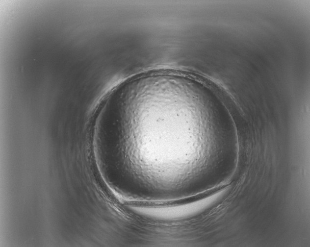 X0000060811359200511171257