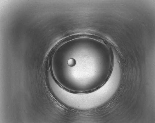 X0000060811360200511171257