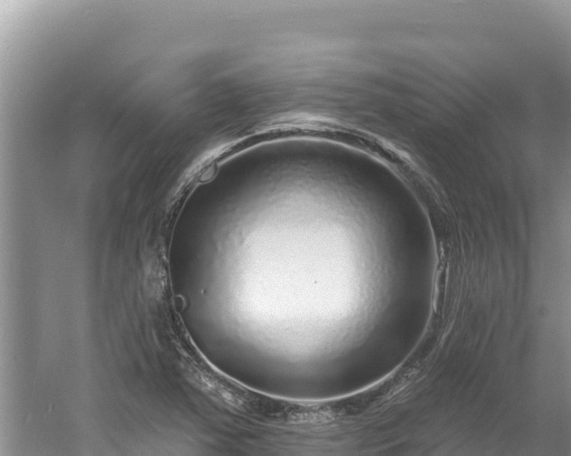 X0000060811363200511171257