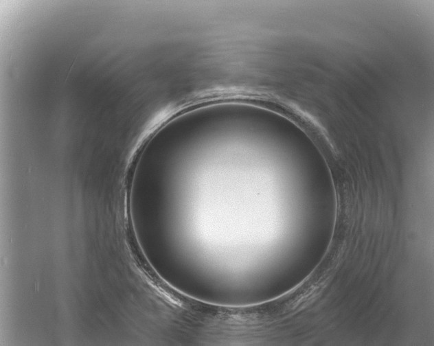 X0000060811365200511171257