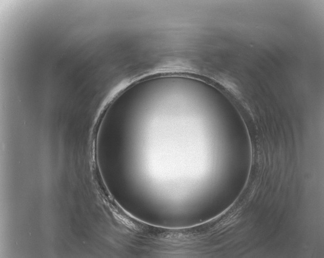 X0000060811366200511171257