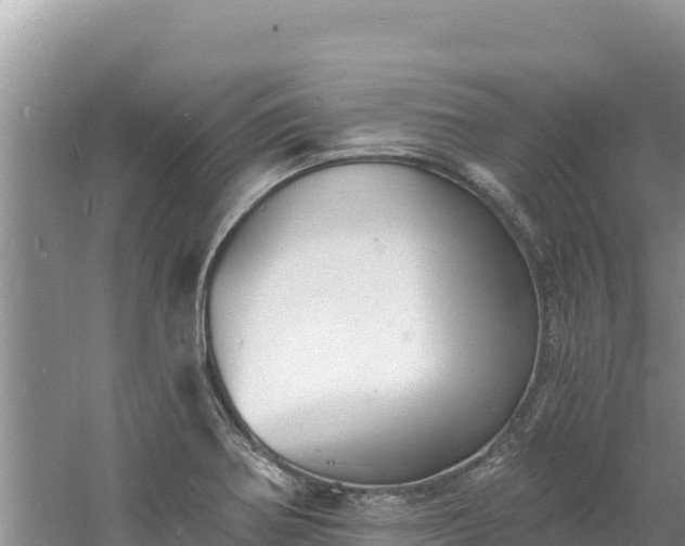 X0000060811370200511171257