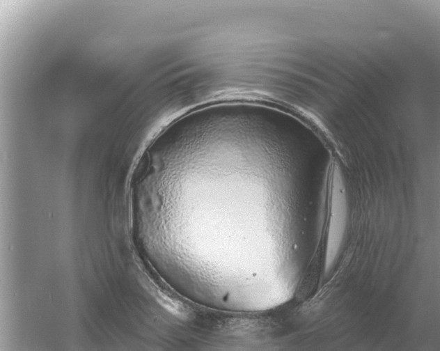 X0000060811371200511171257