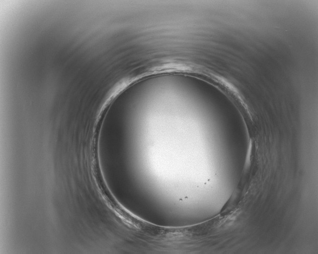 X0000060811373200511171257