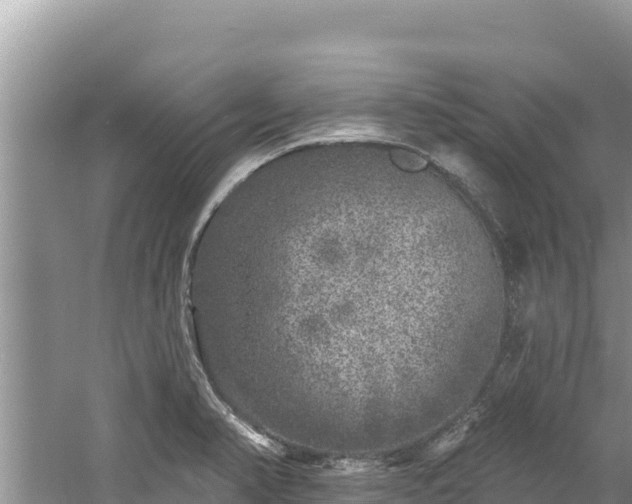 X0000060811374200511171257