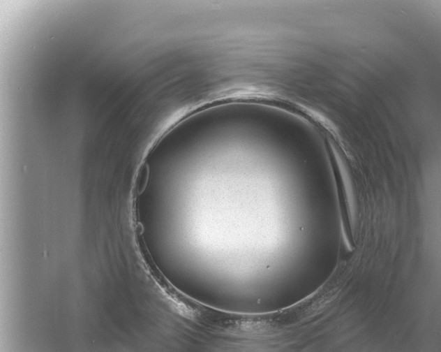 X0000060811375200511171257