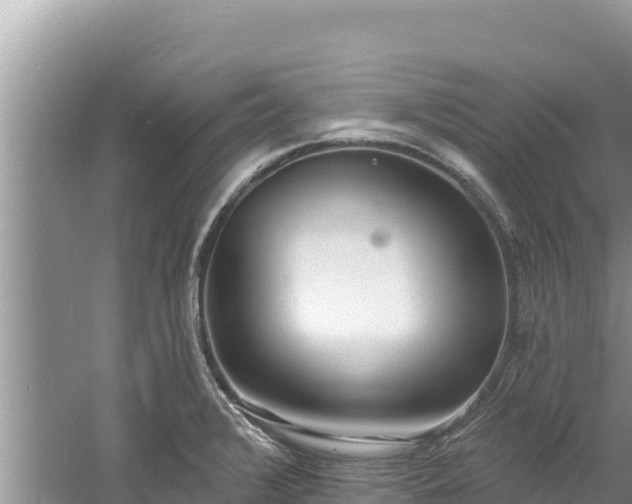 X0000060811376200511171257