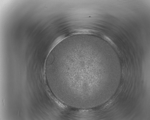 X0000060811378200511171257