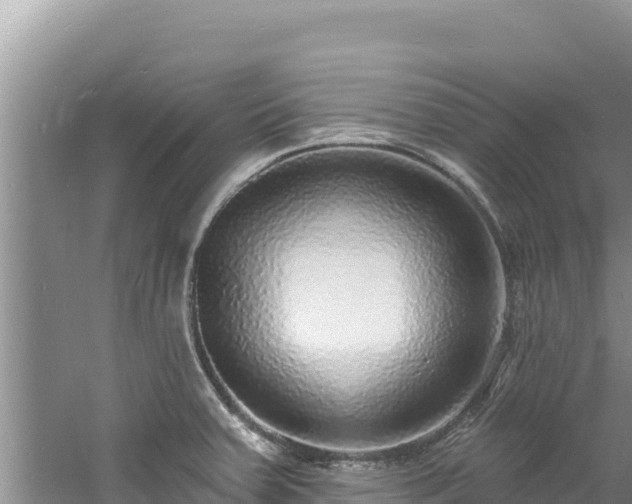 X0000060811379200511171257